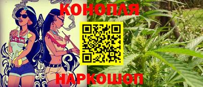 сатива Лесной