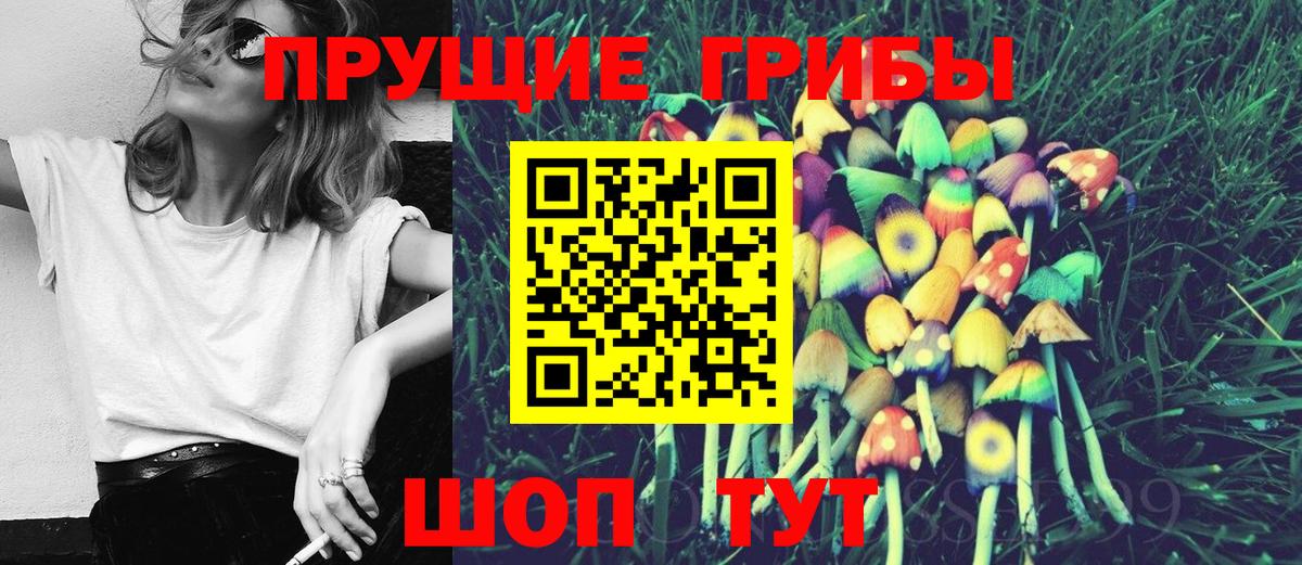 Галлюциногенные грибы Cubensis Михайловка