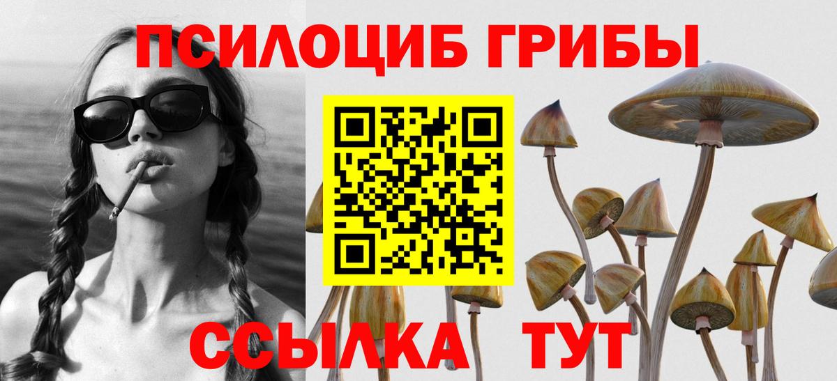 купить   Псилоцибиновые грибы Cubensis  Вход с VPN  Михайловка 